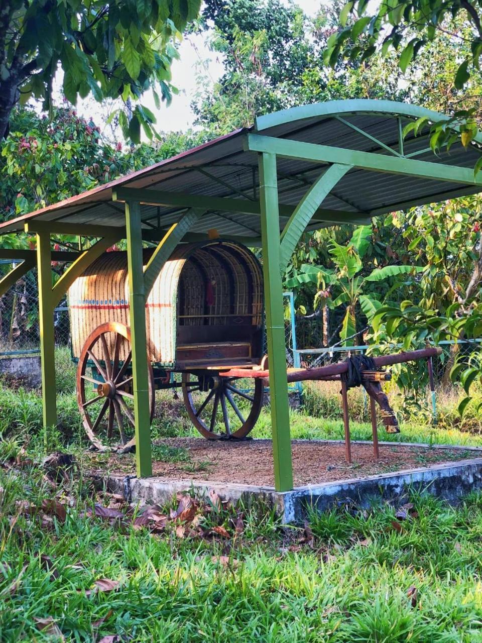 Traditional Villa Munnar Buitenkant foto